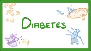 GCSE Biology  Type 1 vs Type 2 Diabetes  What is Diabetes and How to Treat It 57 [upl. by Latsyc937]