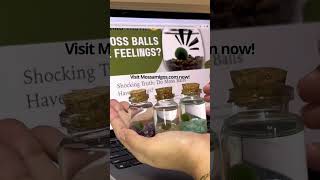 Ever wondered if Moss Amigos have feelings mossball indoorplant garden mossamigos plantcare [upl. by Erej229]