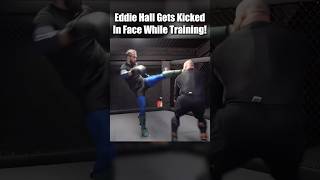 Eddie Hall Gets Kicked In Face While Training mma [upl. by Aham245]