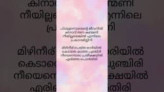 Aradhikee song lyrics shortsmalayalamtrendingambilimovie youtubeshorts shortvideo shortfeed [upl. by Adila]