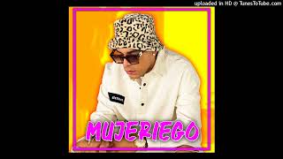 RYAN CASTRO  Mujeriego intro full mix ponche [upl. by Reitman]