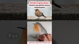 AQUARELLE Peindre daprès photo  encore une petite astuce intéressante aquarelle [upl. by Aelyk]