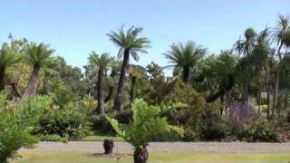 Logan Botanic Garden  Garden Highlights [upl. by Llerod]