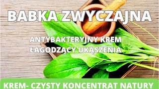 Babka zwyczajna krem  czysty koncentrat natury Antybakteryjny krem łagodzący ukąszenia [upl. by Eitsirk]