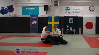 Aikido Demonstration Sundsvall 2024 [upl. by Abagael412]