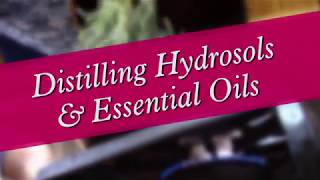 Distilling Hydrosols amp Essential Oils [upl. by Adnuahsal]