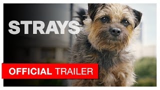 Strays Official Trailer [upl. by Ardnasak]