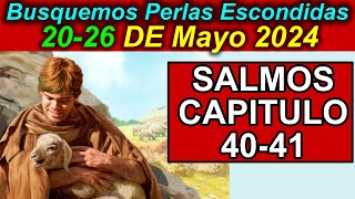 Busquemos PERLAS ESCONDIDAS de esta semana 2026 de Mayo 2024 Comentarios [upl. by Angy328]