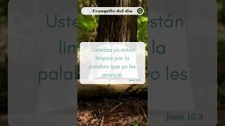 Él corta todos mis sarmientos que no dan fruto al que da fruto lo poda para que dé más todavía [upl. by Lecroy]