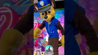 Chase  PAW PATROL 💙🐾 pawpatrol patrullacanina musicainfantil cancionesinfantiles shorts [upl. by Nosna570]