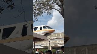 Peach monorail at Disney world [upl. by Katrinka125]