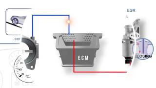 EGR Position Signal Voltage High [upl. by Hsotnas]