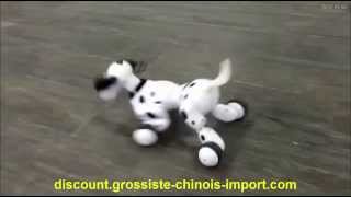 Robot chien ou chat actionné vocalement ou par télécommande [upl. by O'Mahony]