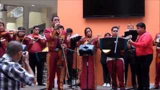 Oxnard High School Mariachi [upl. by Ardnad]