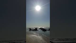 lowtide hartenbos 2024 beach southafrica travel [upl. by Palma757]