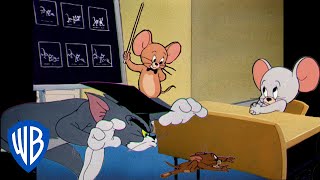 Tom amp Jerry  Back to School Special 📚  Classic Cartoon Compilation  wbkids​ [upl. by Tomi230]