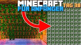 Wie baut man eine Rankenfarm in Minecraft 114  Minecraft für Anfänger Tag 38 [upl. by Ivanna255]