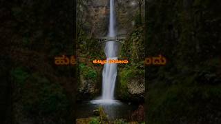 Kannada Nadina Jeevanadi Kaveri  Jeevanadhi songs  Dr Vishnuvardan  Spb kannada hit songs [upl. by Girand]