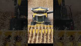 Have you seen the New Holland CR11 combine yet It’s impressive [upl. by Oletta]