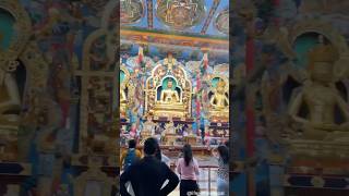 Exploring Tibet Village in Bangalore  Tibetan Culture amp Food Lifewithnehapal trendingshorts [upl. by Atil]