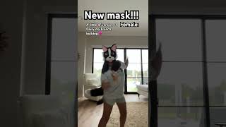 She’s so cute ☺️ newmask frenchbulldog cute furry therian christian doglover antizoo [upl. by Alokin]