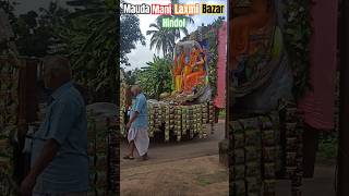 HINDOL MAUDA MANI LAXMI BAZAAR 🔥laxmi shortvideo [upl. by Nesyrb280]