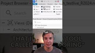 Colored Tabs in Revit [upl. by Zorana]