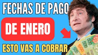 🍀 Cuando y Cuanto COBRO ANSES ENERO 📣 Jubilados Pensionados AUH PNC SUAF ✚ Fechas de Pago [upl. by Ibmat]