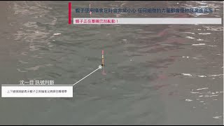 釣蝦 浮標如何配重 又該怎麼量水深呢 公蝦完整就餌訊號 示範篇 ZR初世代 [upl. by Hnilym187]