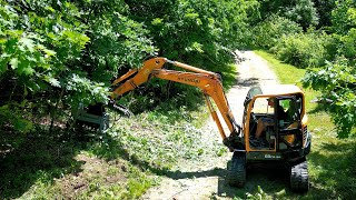 Clearing An Overgrown Driveway [upl. by Trill237]