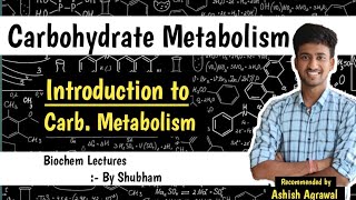 Introduction  Carbohydrate Metabolism  Biochemistry Lectures [upl. by Helm]