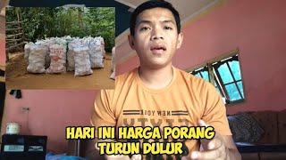 INFORMASI HARGA PORANG MENJELANG HARI RAYA IDUL ADHA MENGALAMI PENURUNAN DULUR [upl. by Chem602]