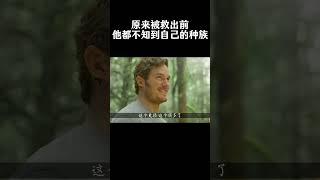 可悲的是被救出前，他甚至不知道自己的种族movie 漫威 [upl. by Humbert]