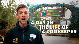 A Day In The Life Of A Zookeeper [upl. by Edan]