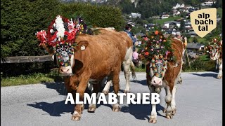 Almabtrieb Reith im Alpbachtal in Tirol [upl. by Ynnelg]