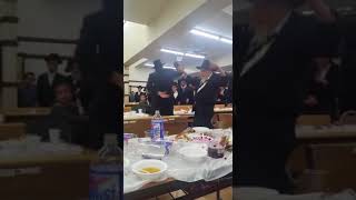 Stoliner Shul in Boro Park dance for Rubashkin [upl. by Anaujnas808]