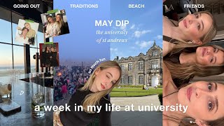 may dip at the university of st andrews  traditions amp friends [upl. by Ynnoj]