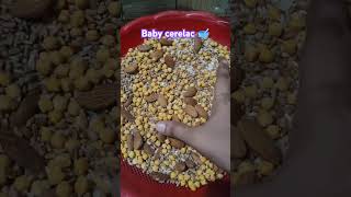 How to make cerelac for babies cerelac cereal babyfood viralvideo trendingshorts shorts fyp [upl. by Anibur]