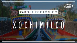 Dónde Correr  Parque Ecológico Xochimilco  CDMX [upl. by Barnabas]