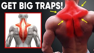 8 BEST EXERCISES TO GET A BIGGER TRAPS 🔥  AT HOME WORKOUT [upl. by Silver]