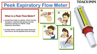 How to Use Peak Expiratory Flow Meter  Indications  Risk Of Procedure  Contraindications [upl. by Nybor612]