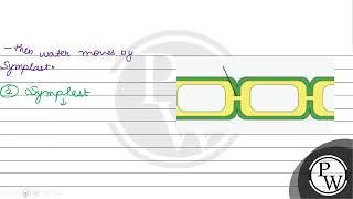 Define transmembrane pathway P [upl. by Ainahs]