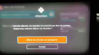 Tuto Comment Effacer Les Données De Sauvegarde Sur La Nintendo Switch [upl. by Anerec812]