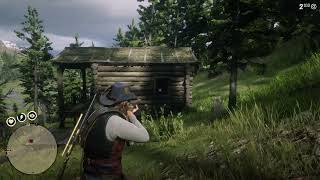 Red Dead Redemption 2 Killed The Bear in One Shot [upl. by Phillie436]