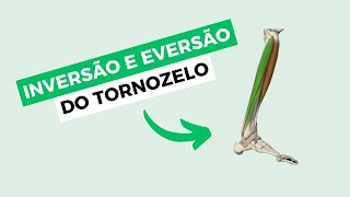 Movimentos de inversão e eversão do TORNOZELO  origem e inserção  CINESIOLOGIA [upl. by Botzow]