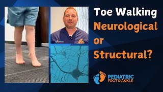 Is Your Child’s Toe Walking Neurological or Structural  with Dr Jarman [upl. by Akinak]