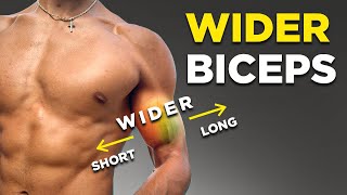 The Science of Wider Biceps Unveiling the Secrets [upl. by Li]