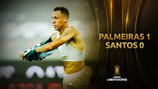 Palmeiras vs Santos FC 10  FINAL  PALMEIRAS CAMPEÓN  CONMEBOL Libertadores 2020 [upl. by Reisch]