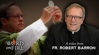 Bishop Barron on the Real Presence of Christ in the Eucharist [upl. by Dichy]