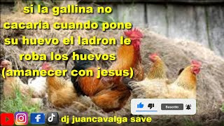 si la gallina no cacaria cuando pone sus huevos el ladron le roba los huevos amanecer con jesus [upl. by Sylram]